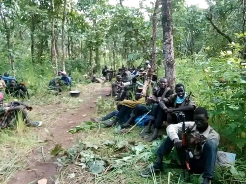 SPLA-IO Forces in Western Bahr el Ghazal State